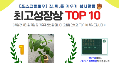 집씨통(집에서 씨앗키우는 통나무 화분)' 비대면 봉사활동
